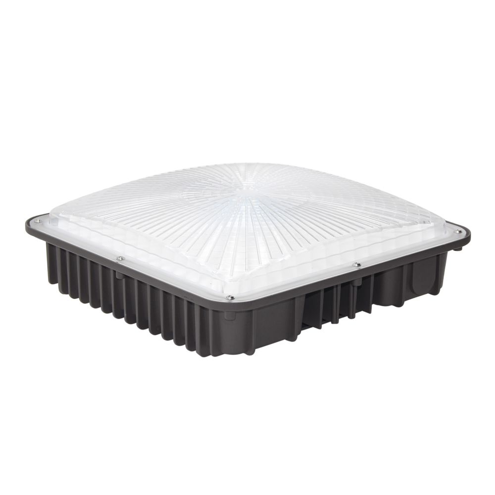 CPL01 LED canopy light