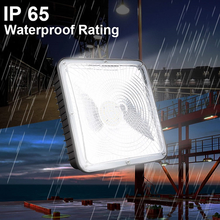 CPL01 LED canopy light