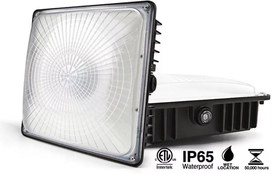 CPL01 LED canopy light