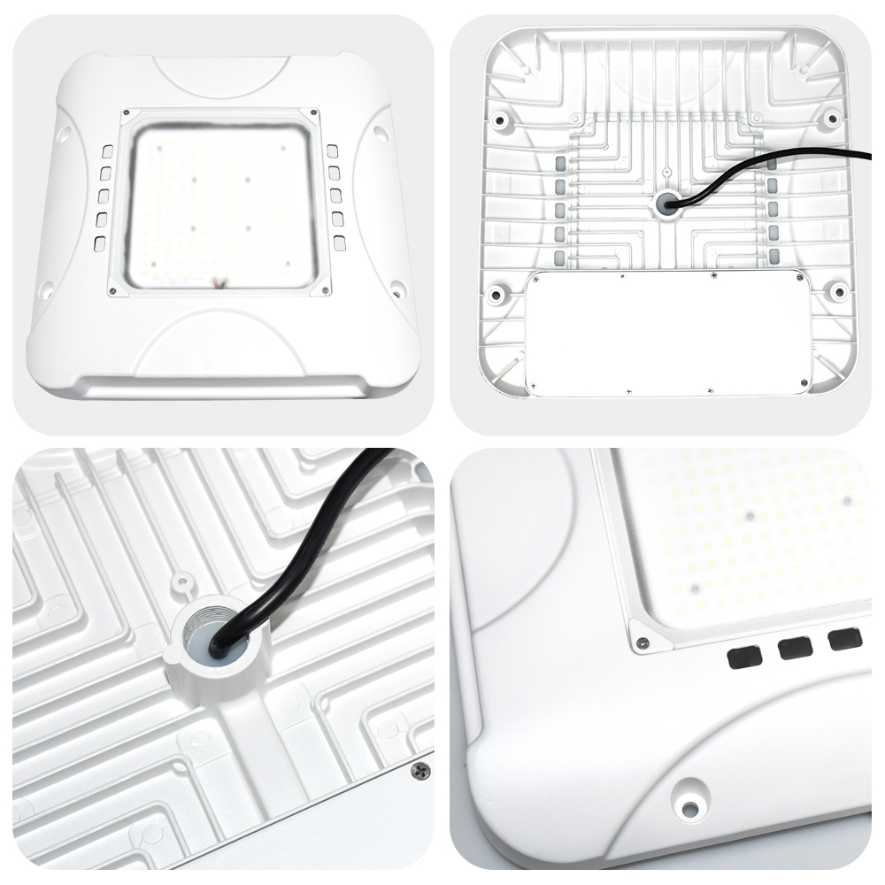 CPL01 LED canopy light